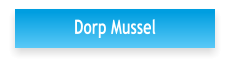 Dorp Mussel